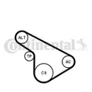 CONTINENTAL CTAM 5PK1212K1 Keilrippenriemen Kit