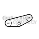 CONTINENTAL CTAM 4PK855K1 Keilrippenriemen Kit