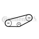 CONTINENTAL CTAM 4PK855K1 Keilrippenriemen Kit