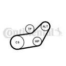 CONTINENTAL CTAM 6PK1045K1 Keilrippenriemen Kit