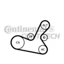 CONTINENTAL CTAM 5PK1300K1 Keilrippenriemen Kit