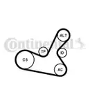 CONTINENTAL CTAM 5PK1300K1 Keilrippenriemen Kit