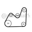 CONTINENTAL CTAM 5PK1432K1 Keilrippenriemen Kit