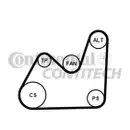 CONTINENTAL CTAM 5PK1432K1 Keilrippenriemen Kit