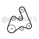 CONTINENTAL CTAM 5PK1592K1 Keilrippenriemen Kit