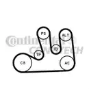 CONTINENTAL CTAM 5PK1750K1 Keilrippenriemen Kit