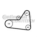 CONTINENTAL CTAM 6PK1070K1 Keilrippenriemen Kit