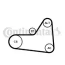 CONTINENTAL CTAM 6PK1070K1 Keilrippenriemen Kit