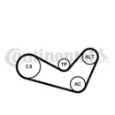 CONTINENTAL CTAM 6PK1080K1 Keilrippenriemen Kit