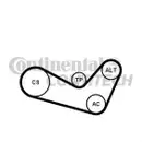 CONTINENTAL CTAM 6PK1080K1 Keilrippenriemen Kit