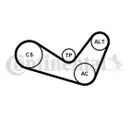 CONTINENTAL CTAM 6PK1050K1 Keilrippenriemen Kit