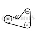 CONTINENTAL CTAM 6PK1050K3 Keilrippenriemen Kit