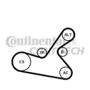 CONTINENTAL CTAM 6PK1125K1 Keilrippenriemen Kit