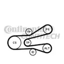 Keilrippenriemensatz Continental Ctam 6PK1440K1 für Citroën für Peugeot