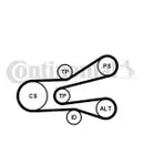 Keilrippenriemensatz Continental Ctam 6PK1440K1 für Citroën für Peugeot