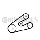 CONTINENTAL CTAM 6PK1453K1 Keilrippenriemen Kit