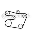CONTINENTAL CTAM 6PK1538K1 Keilrippenriemen Kit