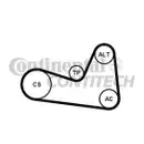 CONTINENTAL CTAM 6PK1200K1 Keilrippenriemen Kit