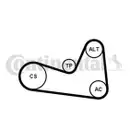 CONTINENTAL CTAM 6PK1200K1 Keilrippenriemen Kit