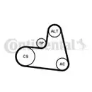 CONTINENTAL CTAM 6PK1217K1 Keilrippenriemen Kit