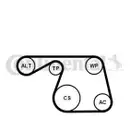 CONTINENTAL CTAM 6PK1310K1 Keilrippenriemen Kit