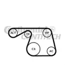 CONTINENTAL CTAM 6PK1310K1 Keilrippenriemen Kit