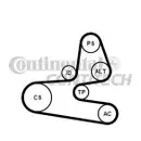 CONTINENTAL CTAM 6PK1564K1 Keilrippenriemen Kit