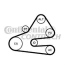 CONTINENTAL CTAM 6PK1613K1 Keilrippenriemen Kit