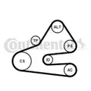 CONTINENTAL CTAM 6PK1613K1 Keilrippenriemen Kit