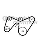 CONTINENTAL CTAM 6PK1642K2 Keilrippenriemen Kit