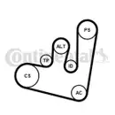 CONTINENTAL CTAM 6PK1660K1 Keilrippenriemen Kit