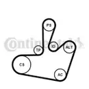 CONTINENTAL CTAM 6PK1548K1 Keilrippenriemen Kit
