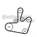 CONTINENTAL CTAM 6PK1548K1 Keilrippenriemen Kit