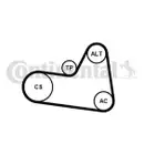 Keilrippenriemensatz Continental Ctam 6PK1710K1 für Citroën für Peugeot