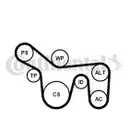 CONTINENTAL CTAM 6PK1715K1 Keilrippenriemen Kit