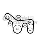 CONTINENTAL CTAM 6PK1715K1 Keilrippenriemen Kit
