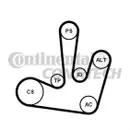 CONTINENTAL CTAM 6PK1795K1 Keilrippenriemen Kit