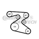 CONTINENTAL CTAM 6PK1873K1 Keilrippenriemen Kit