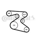 CONTINENTAL CTAM 6PK1873K1 Keilrippenriemen Kit