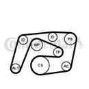 CONTINENTAL CTAM 6PK2260K1 Keilrippenriemen Kit