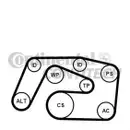 CONTINENTAL CTAM 6PK2271K1 Keilrippenriemen Kit