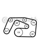 CONTINENTAL CTAM 6PK2271K1 Keilrippenriemen Kit