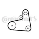 CONTINENTAL CTAM 6PK906K1 Keilrippenriemen Kit