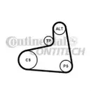 CONTINENTAL CTAM 6PK906K1 Keilrippenriemen Kit