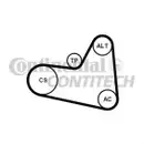 CONTINENTAL CTAM 6PK976K1 Keilrippenriemen Kit