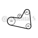 CONTINENTAL CTAM 6PK976K1 Keilrippenriemen Kit