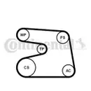 CONTINENTAL CTAM 6PK1873K4 Keilrippenriemen Kit