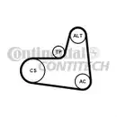 CONTINENTAL CTAM 6PK995K1 Keilrippenriemen Kit