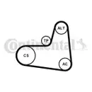 CONTINENTAL CTAM 6PK995K1 Keilrippenriemen Kit