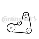 CONTINENTAL CTAM 7PK1125K1 Keilrippenriemen Kit
